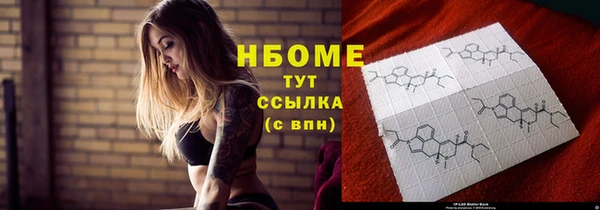 амф Няндома