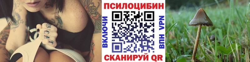 Купить закладки  Нелидово  Галлюциногенные грибы GOLDEN TEACHER 